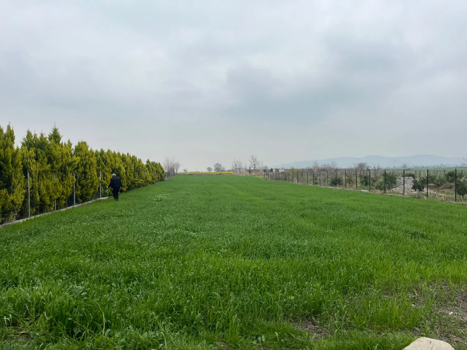 زمین باغی و کشاورزی