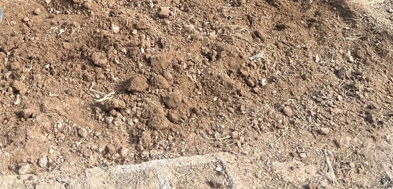 زمین فرزنداوری