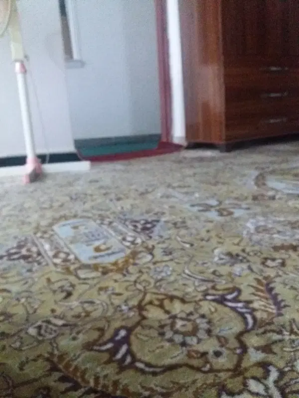 اجاره مسکونی همکف