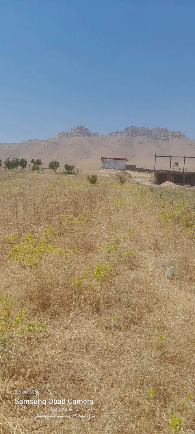 زمین برای خانه باغ