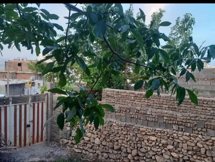 خونه کلنگی