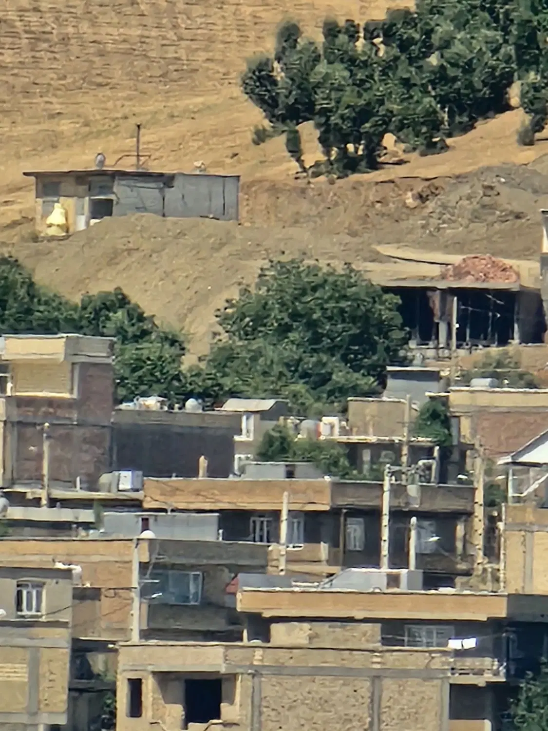 زمین