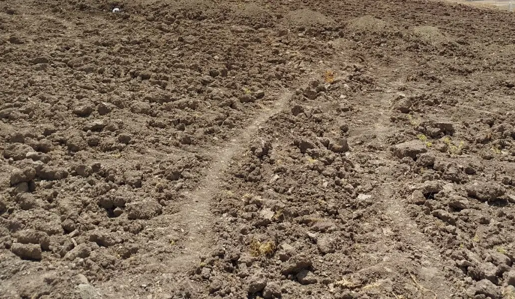 زمین آبی مناسب باغ