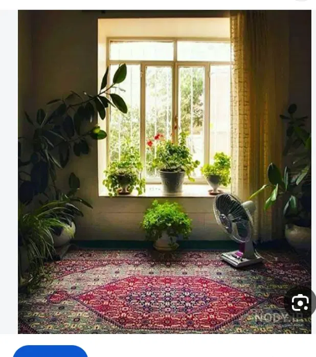 سویت روزانە مسافر