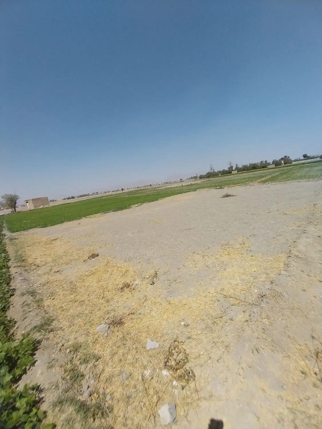 زمین ۲۶۰ متری جا باغ فلاورجان