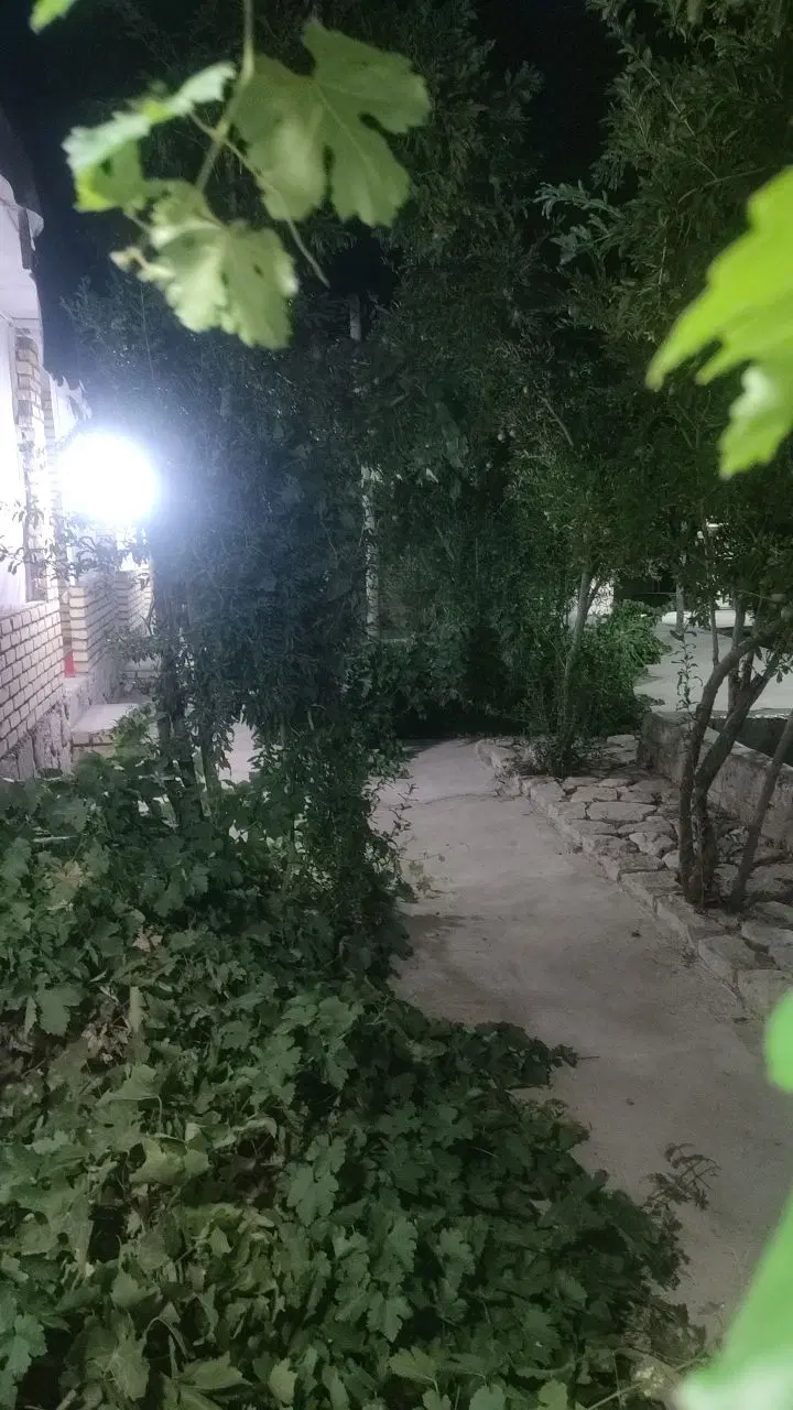 اجاره کافه باغ