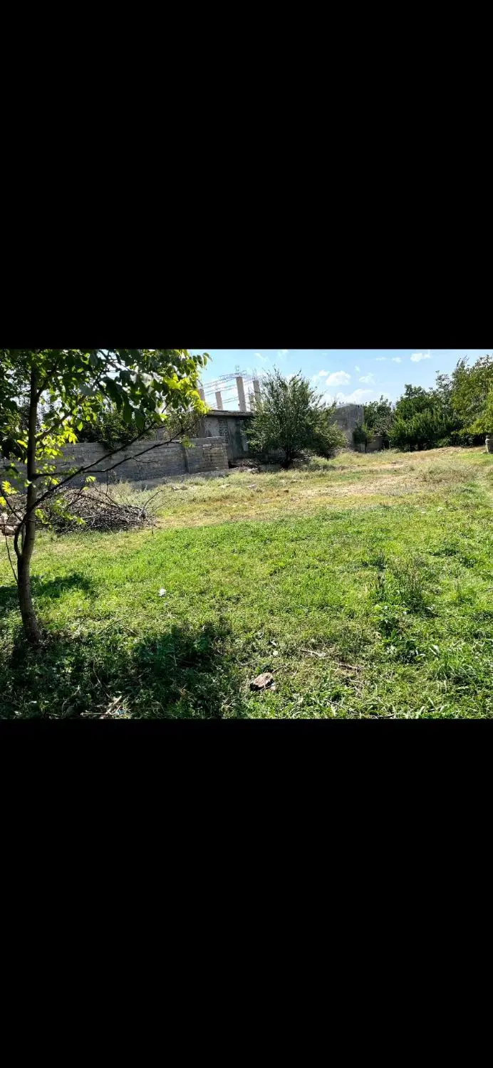 فروش ۲_۹۰۰ متر زمین زراعی در مازه خریده