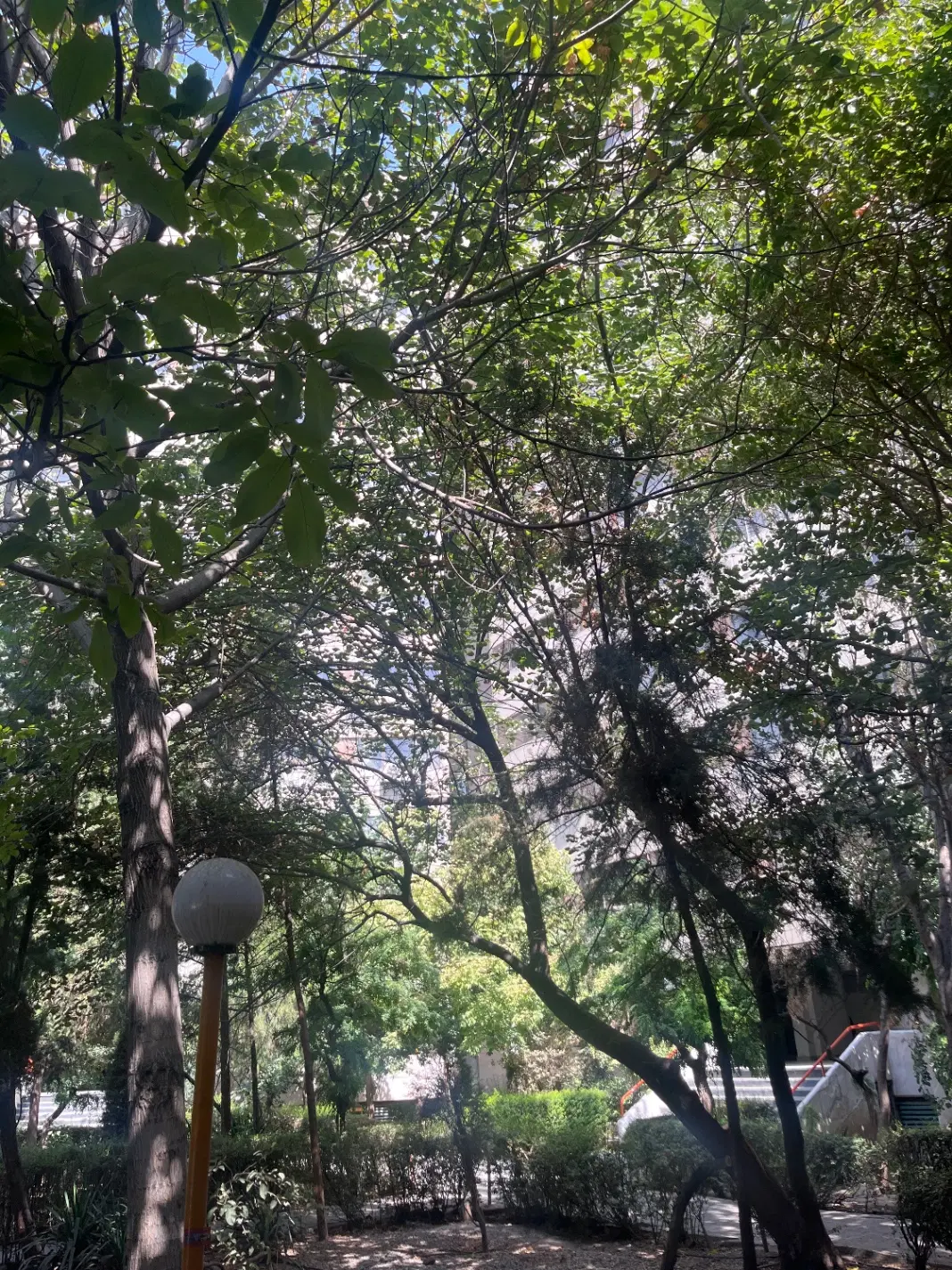 ۳ خوابه دال ۱