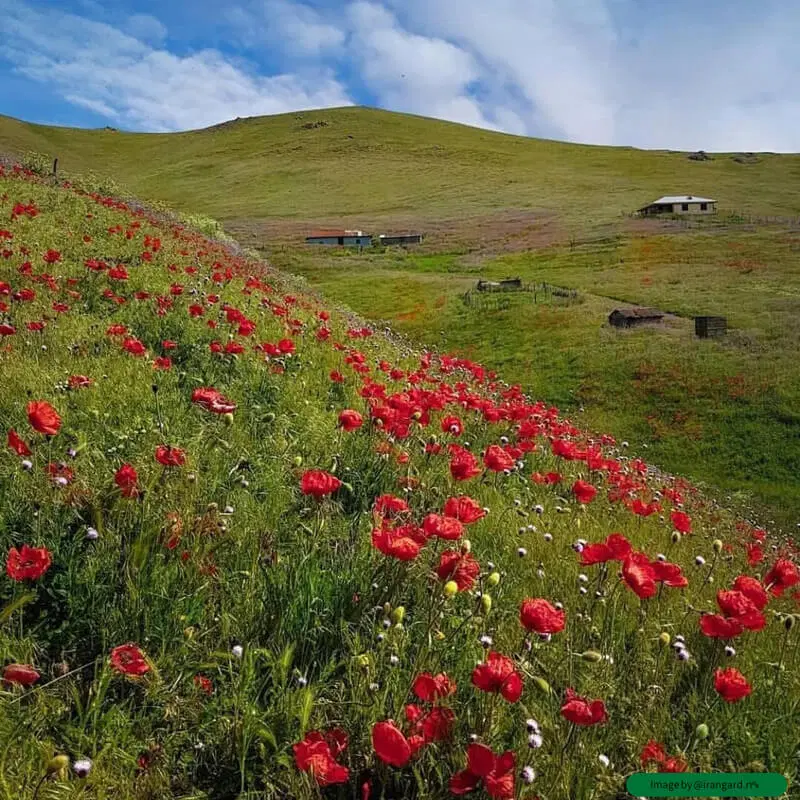 زمین سه بر  دور میدان شهرک گلریس ابهر