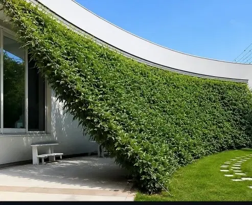 ملکه باغی میخوای نگران نباش ۱۰۰۰تا مورد داریم