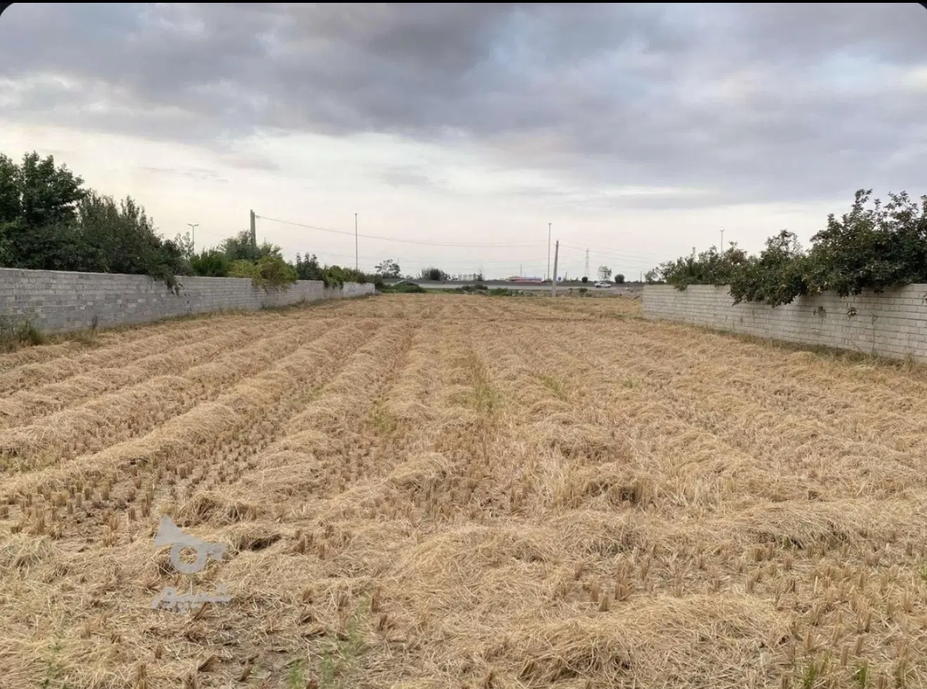 فروش زمین پلاک اول بر خط کمربندی