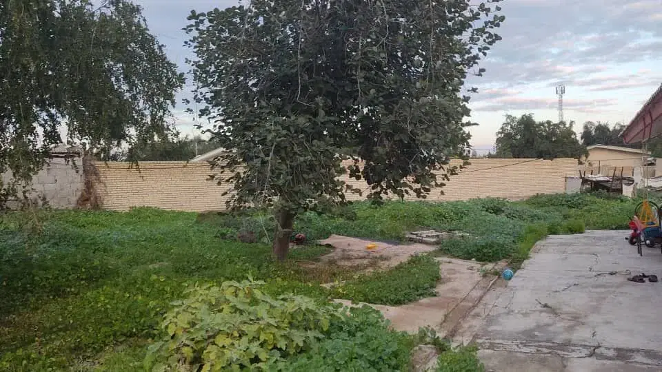 زمین 300 متری فروشی طرح آبیاری