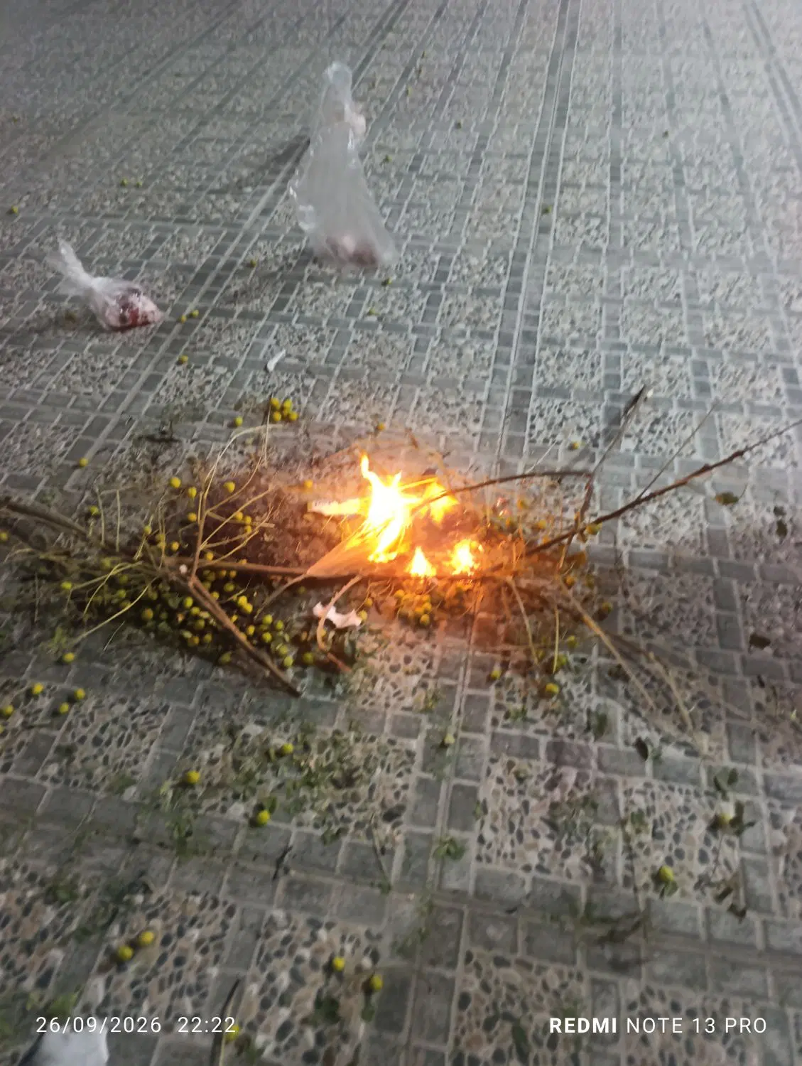 زمین نجف شهر جنت آباد