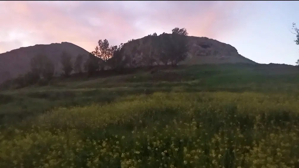 فروش زمین کشاورزی