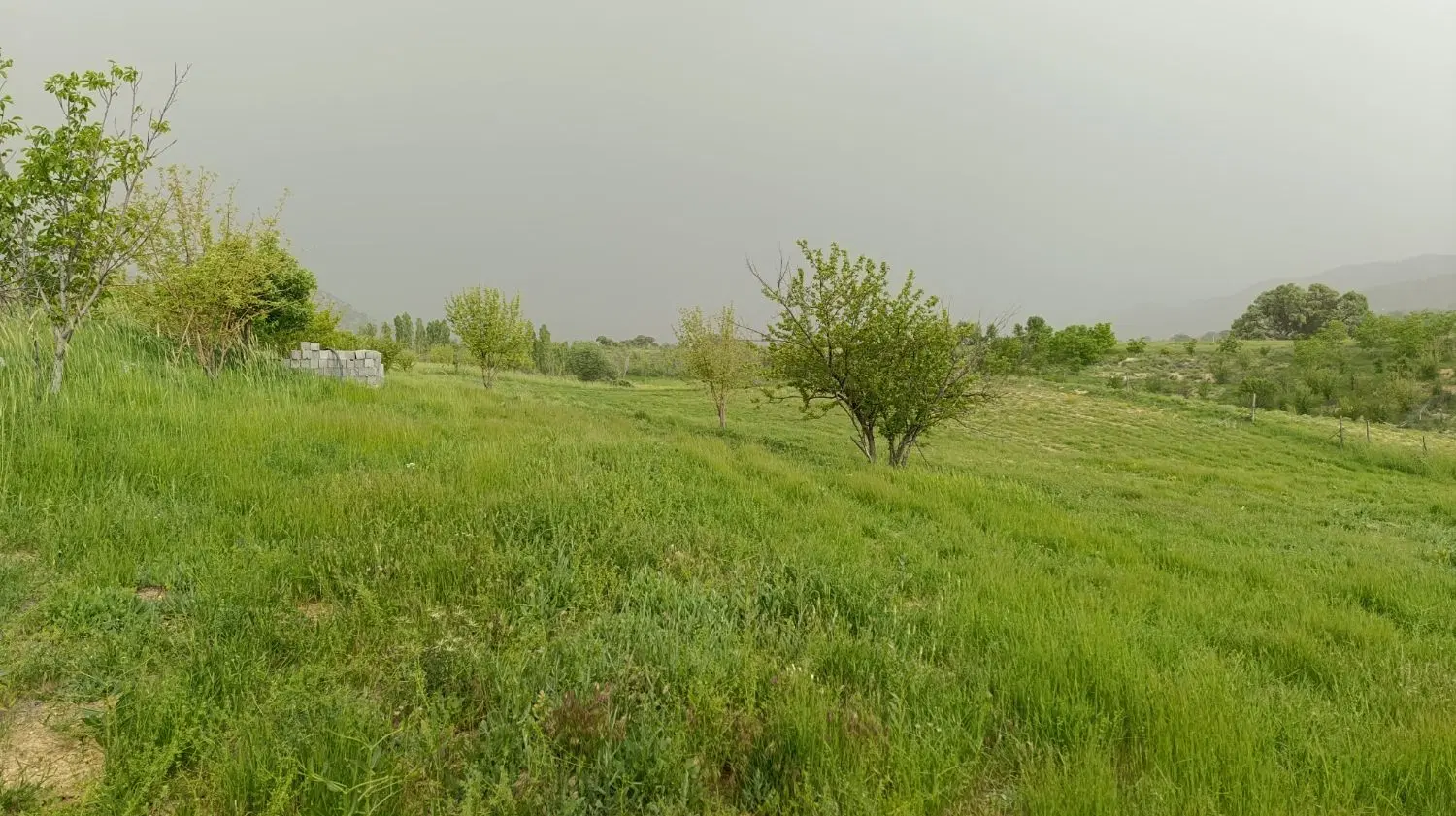 زمین فیروزاباد