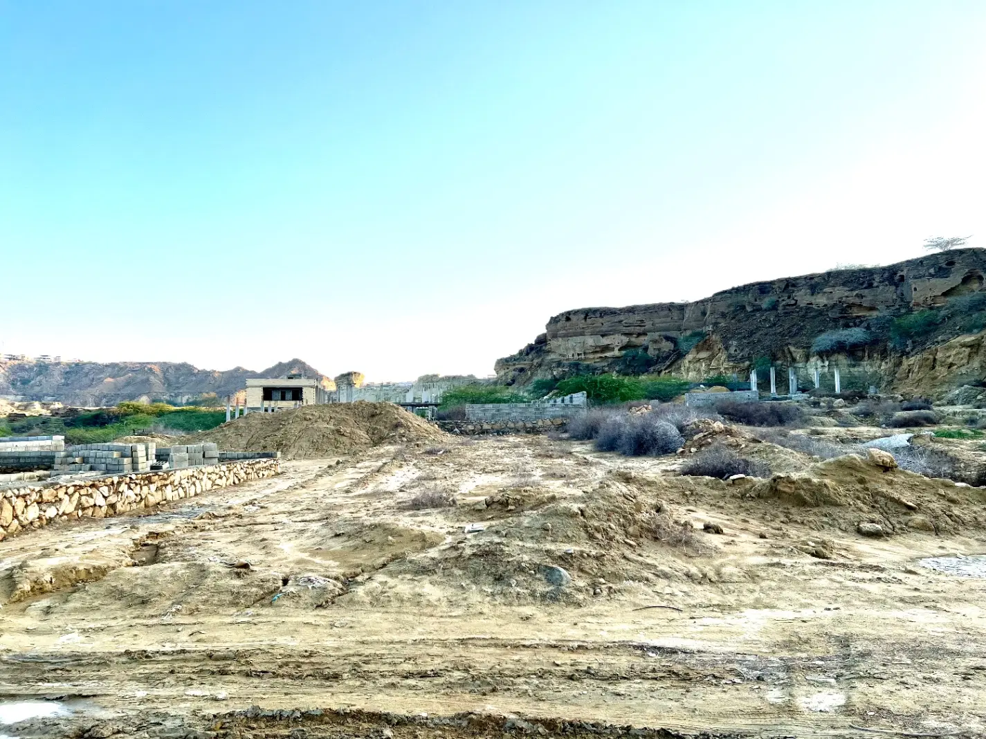 زمین تیس