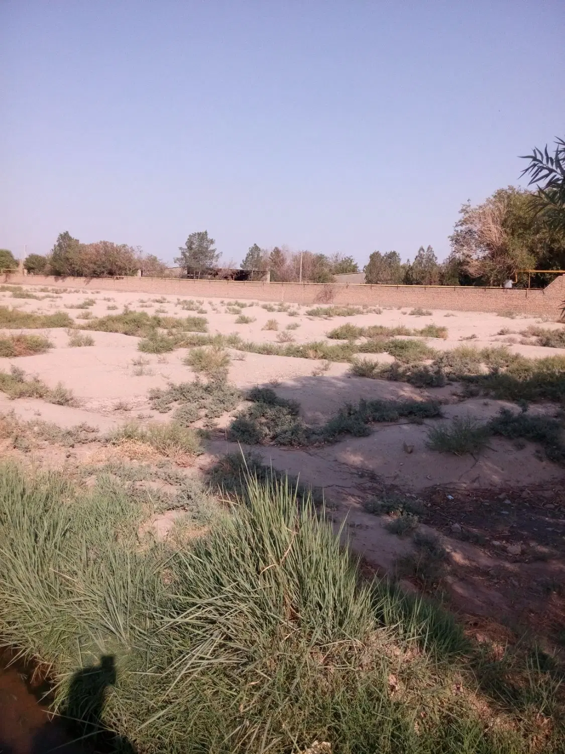 زمین