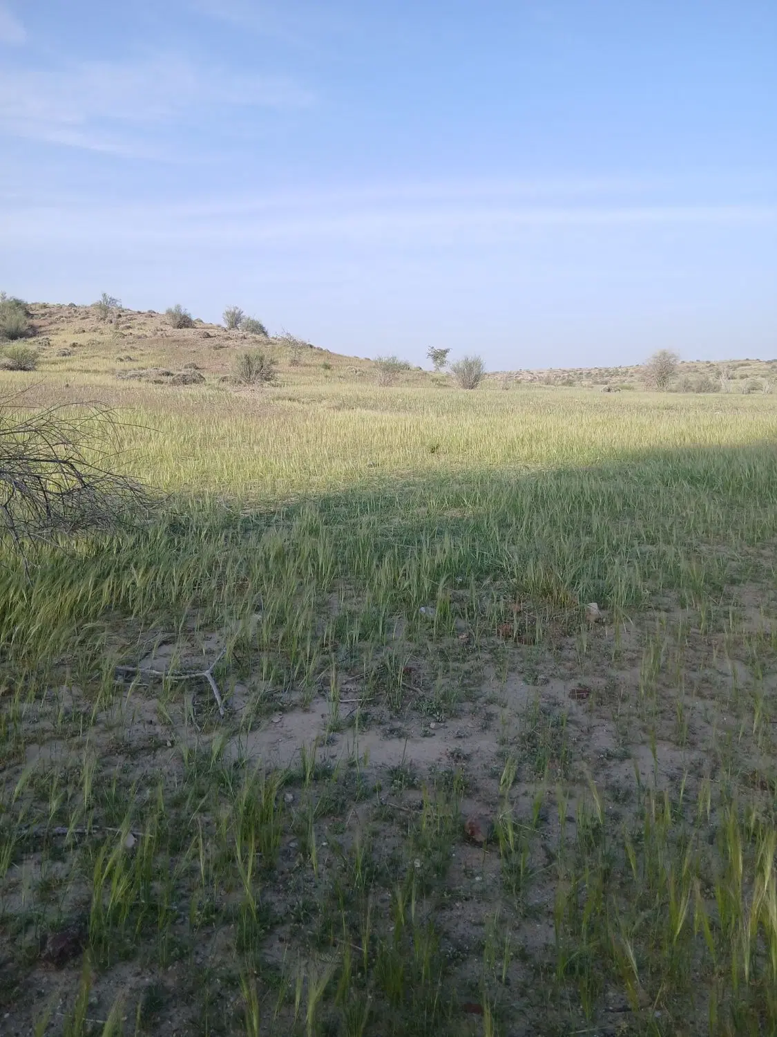زمین مسکونی در شهرستان رودان