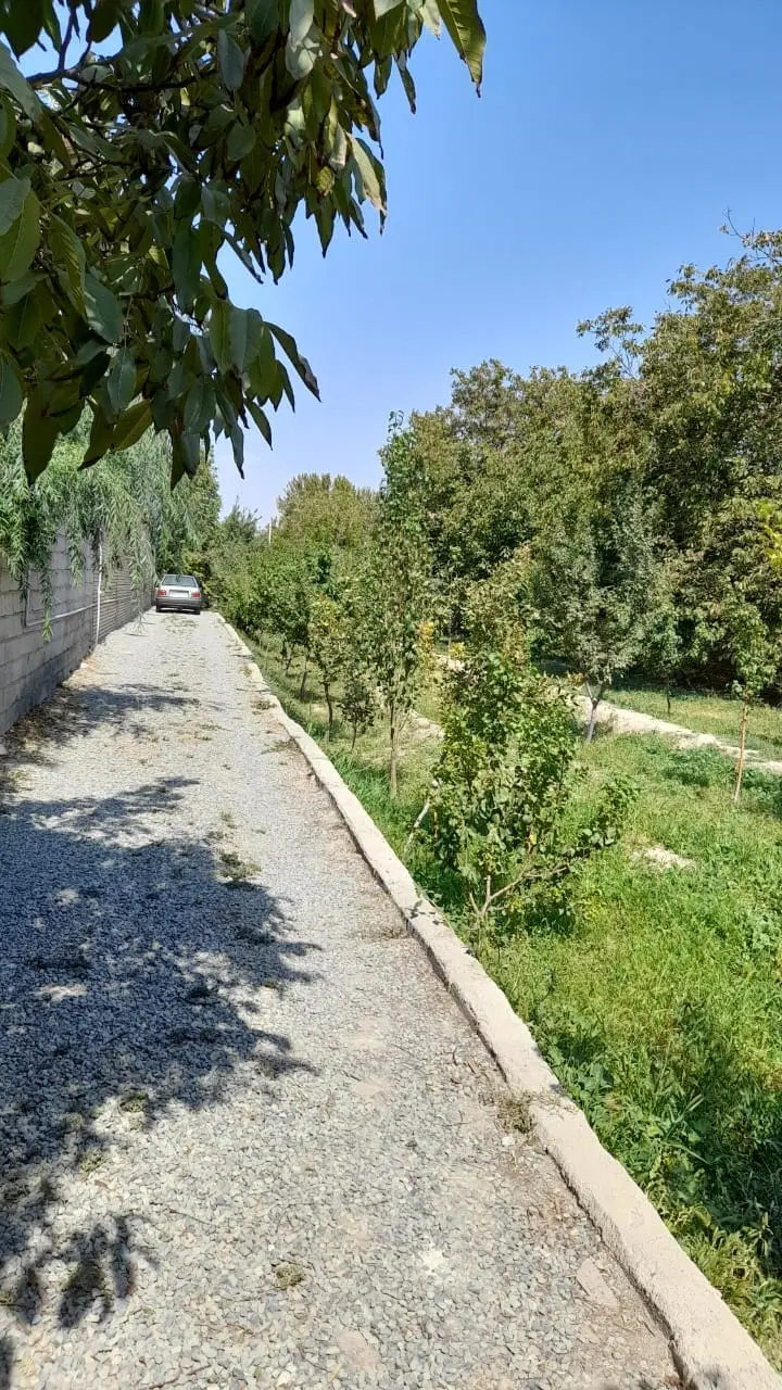 فروش  ملک کلنگی