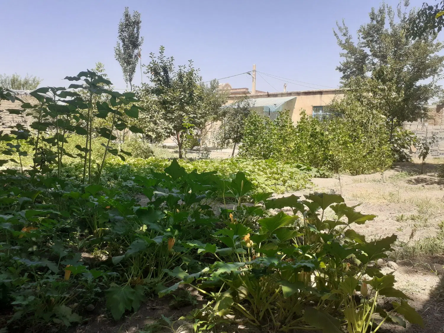 فروش حیاط ۱۰۰۰متر