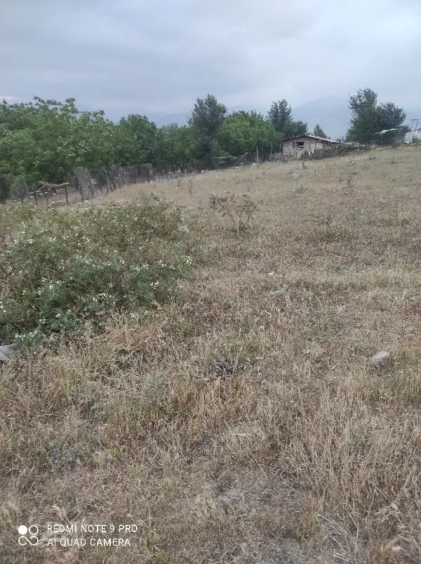۲۵۰متر زمین مزروعی