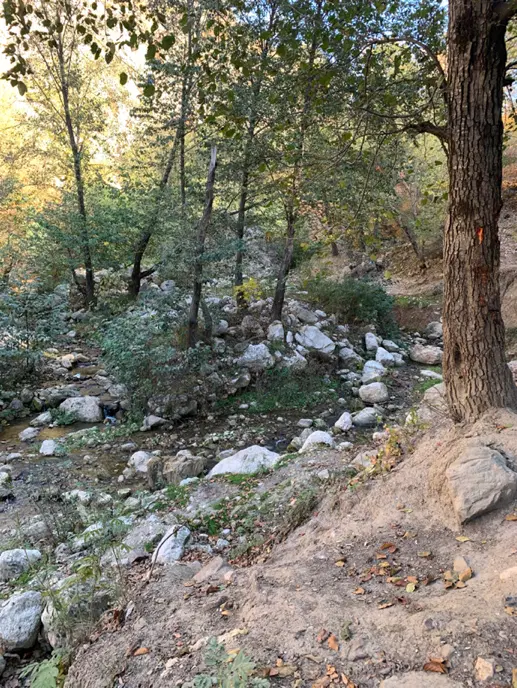 ۱۶۰۰۰مترزمین کشاورزی آبی