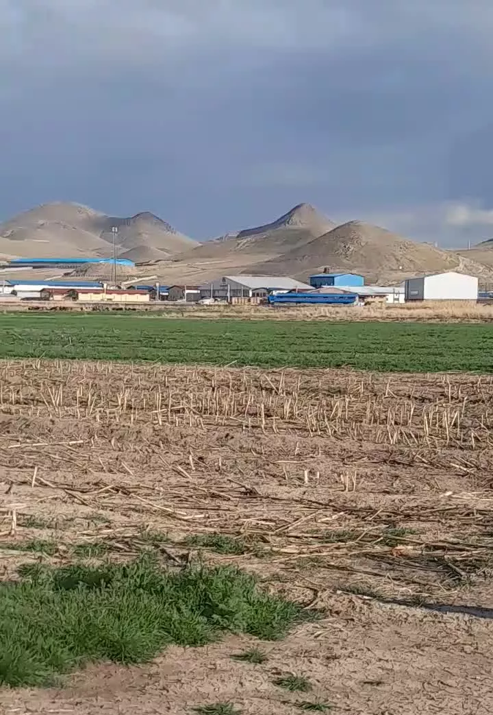 زمین تجاری شهیدکلانتری