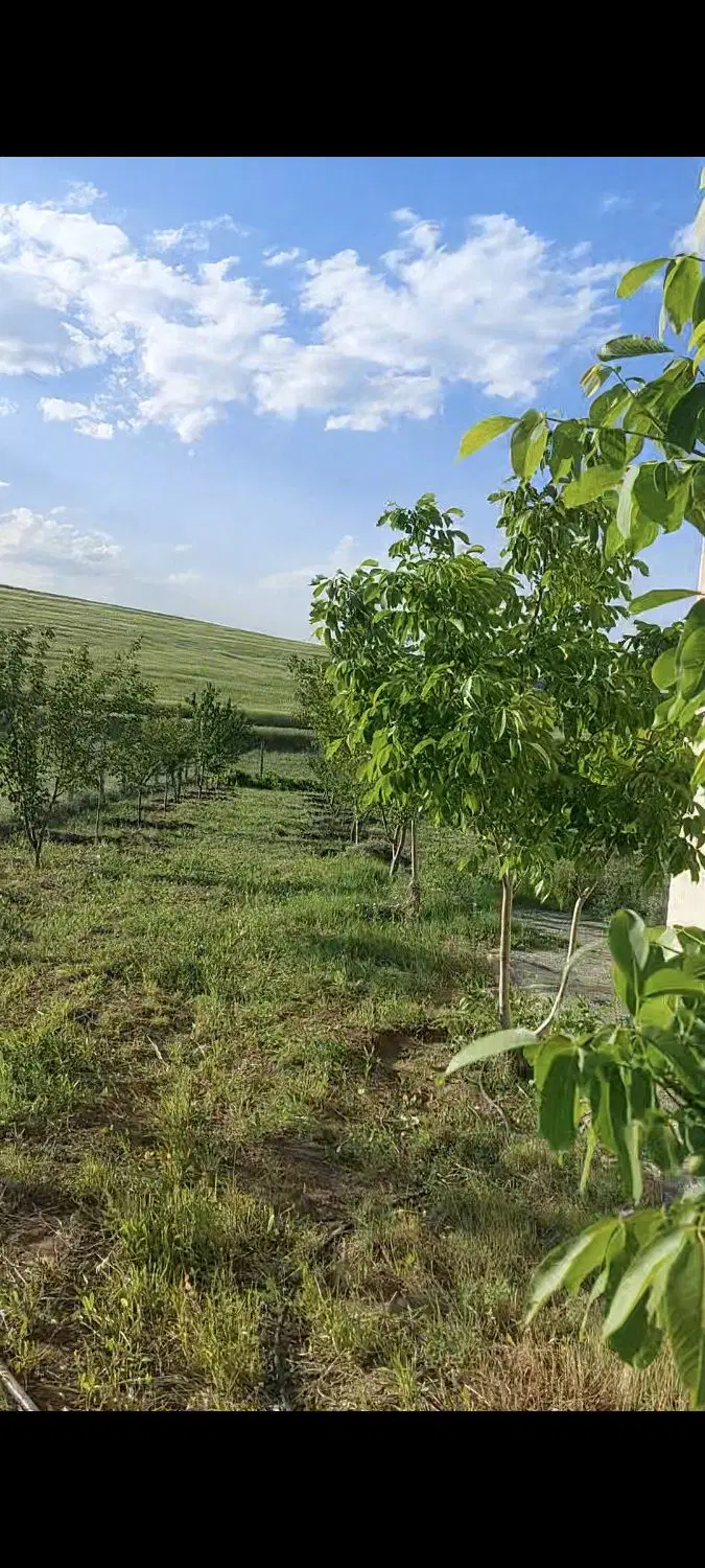 2000 متر خانه باغ همراه با خانه استخر و تمام وسایل