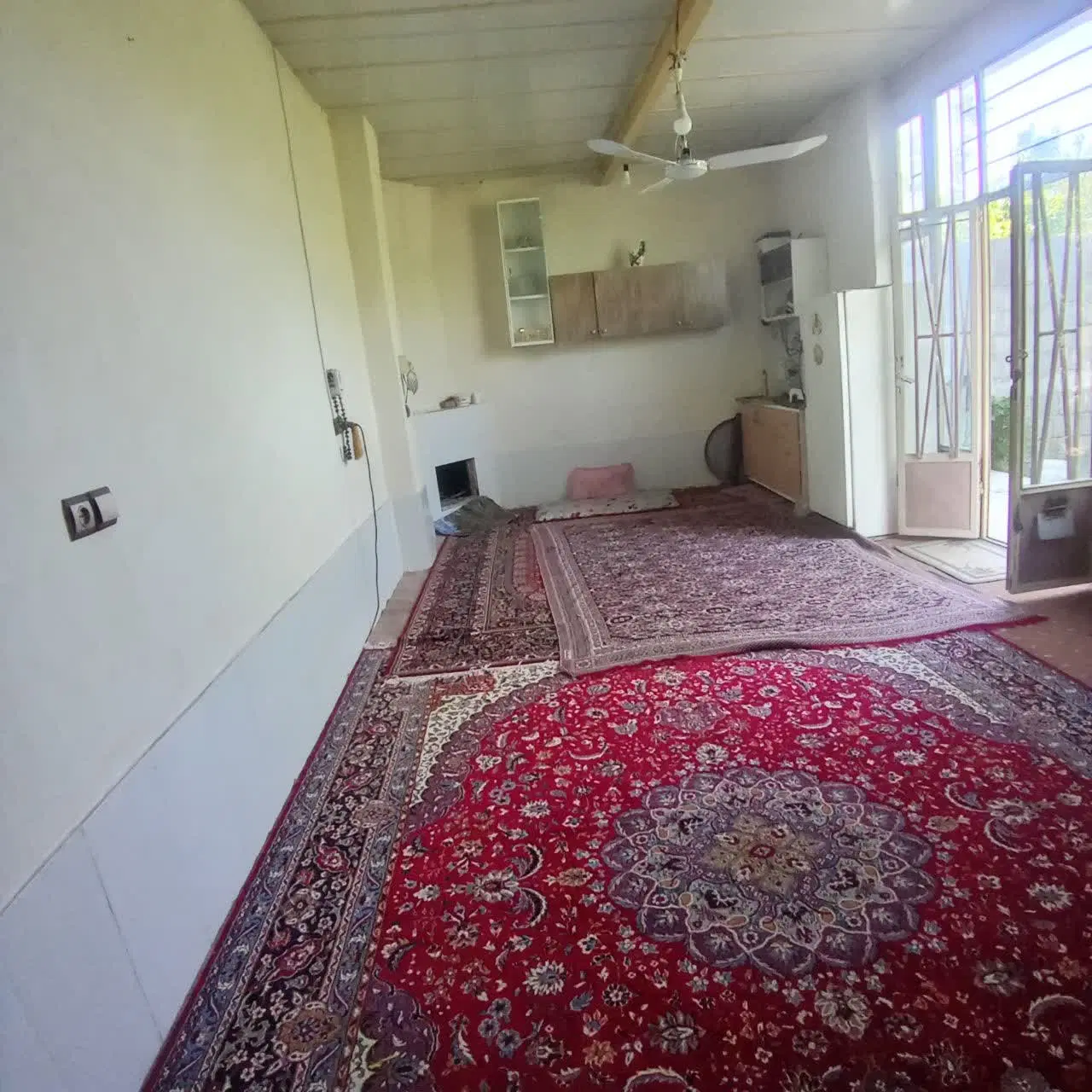 باغ سرسبزمیوه دارجوزدان