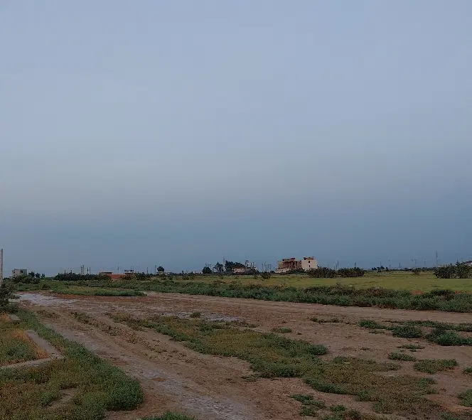 زمین از حوالی سندیکا
