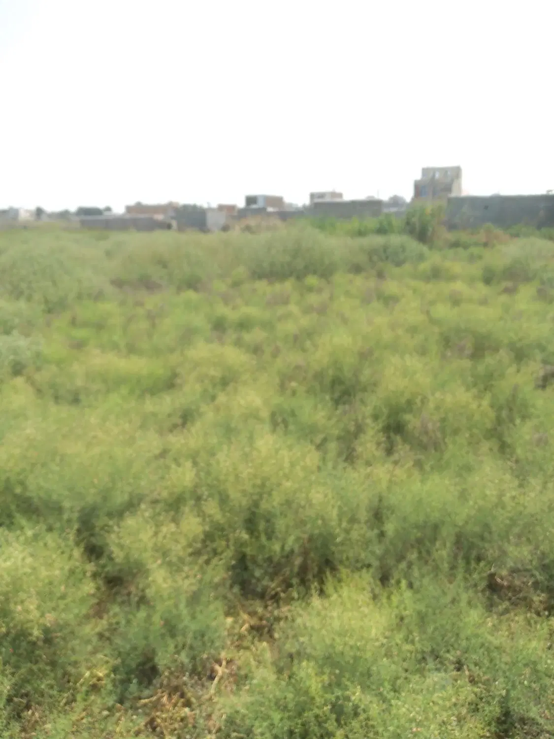 فروش زمین مسکونی
