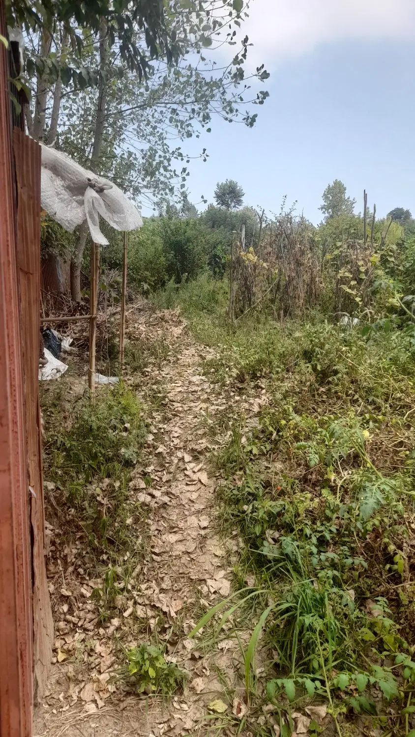فروش زمین باغی
