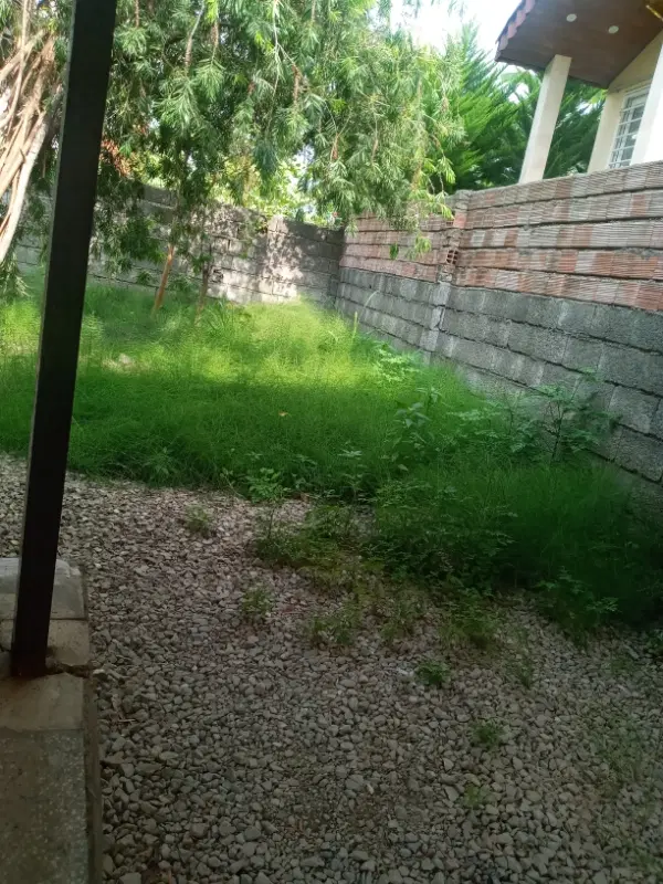 شریک برای اجاره ویلا در شمال سالیانه