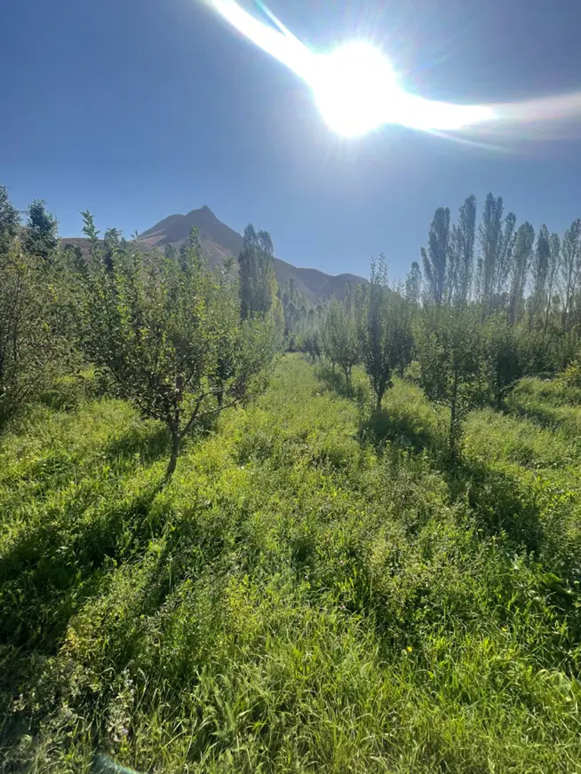 باغ روستای هرانده فیروزکوه نمرود