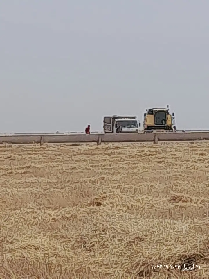 زمین کشاورزی جهت اجاره