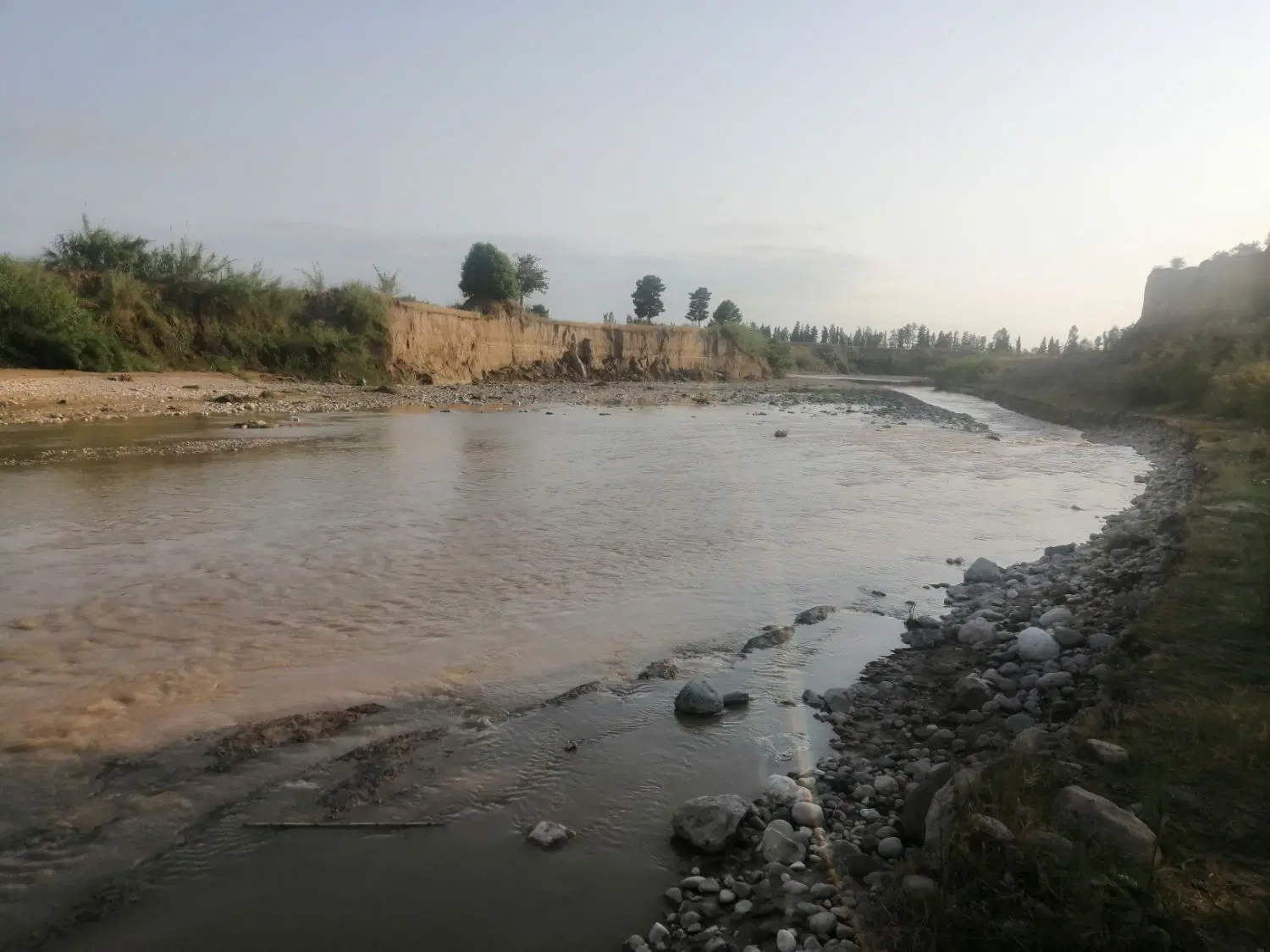 زمین برای ساخت باغچه
