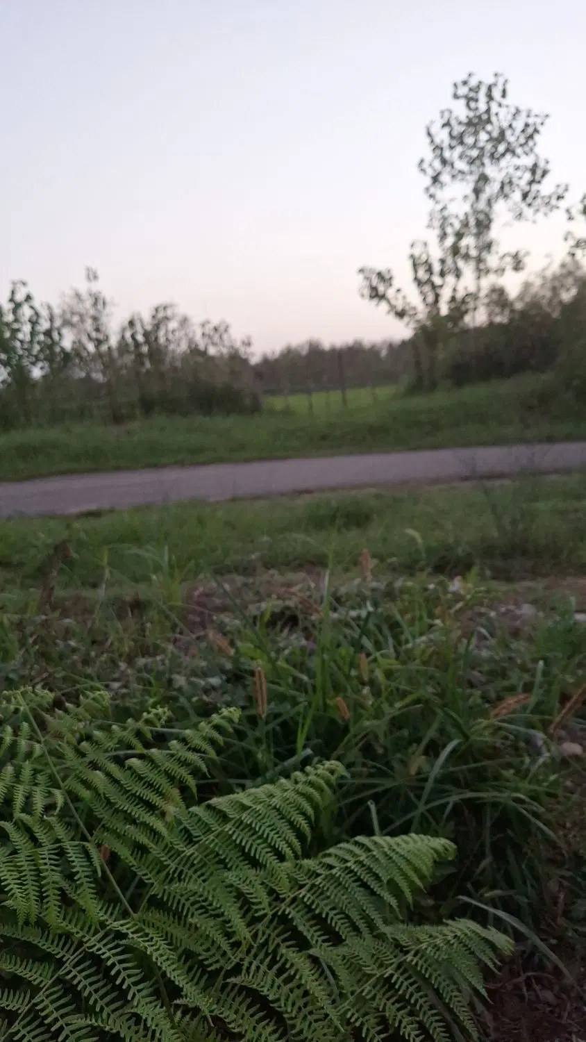 ۶۰۰۰ مترزمین