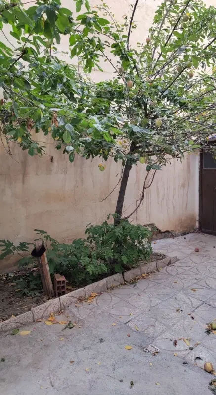 منزل مسکونی به همراه مغازه