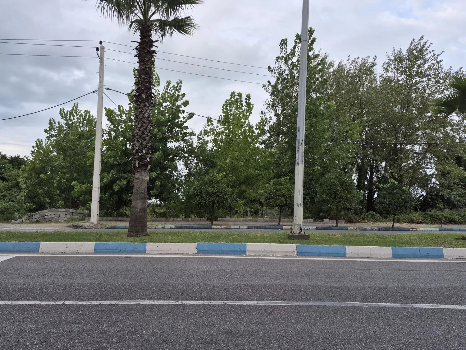 میدان نخل زمین۶۵۰متر۲نبش تجاری گردشگری