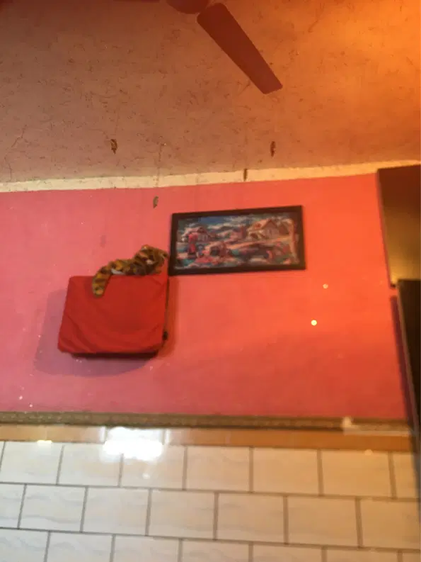 مسکن مهر