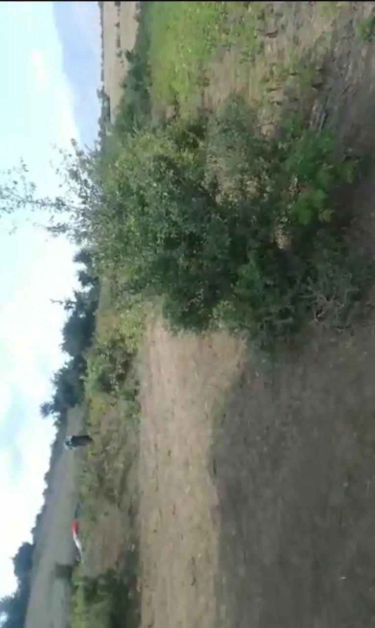 زمین کشاورزی