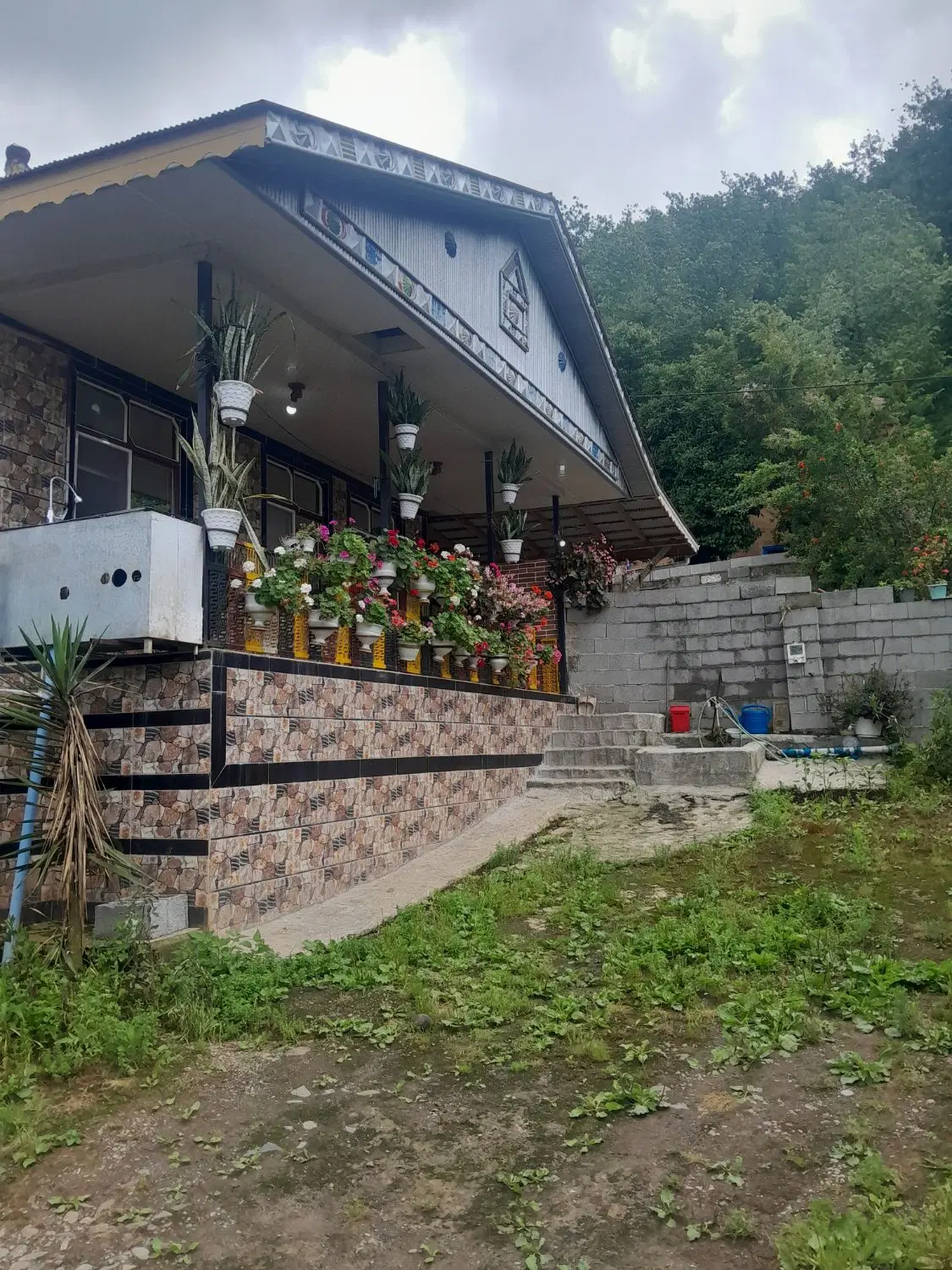 ویلای جنگلی اجاره سالانه در ماسال