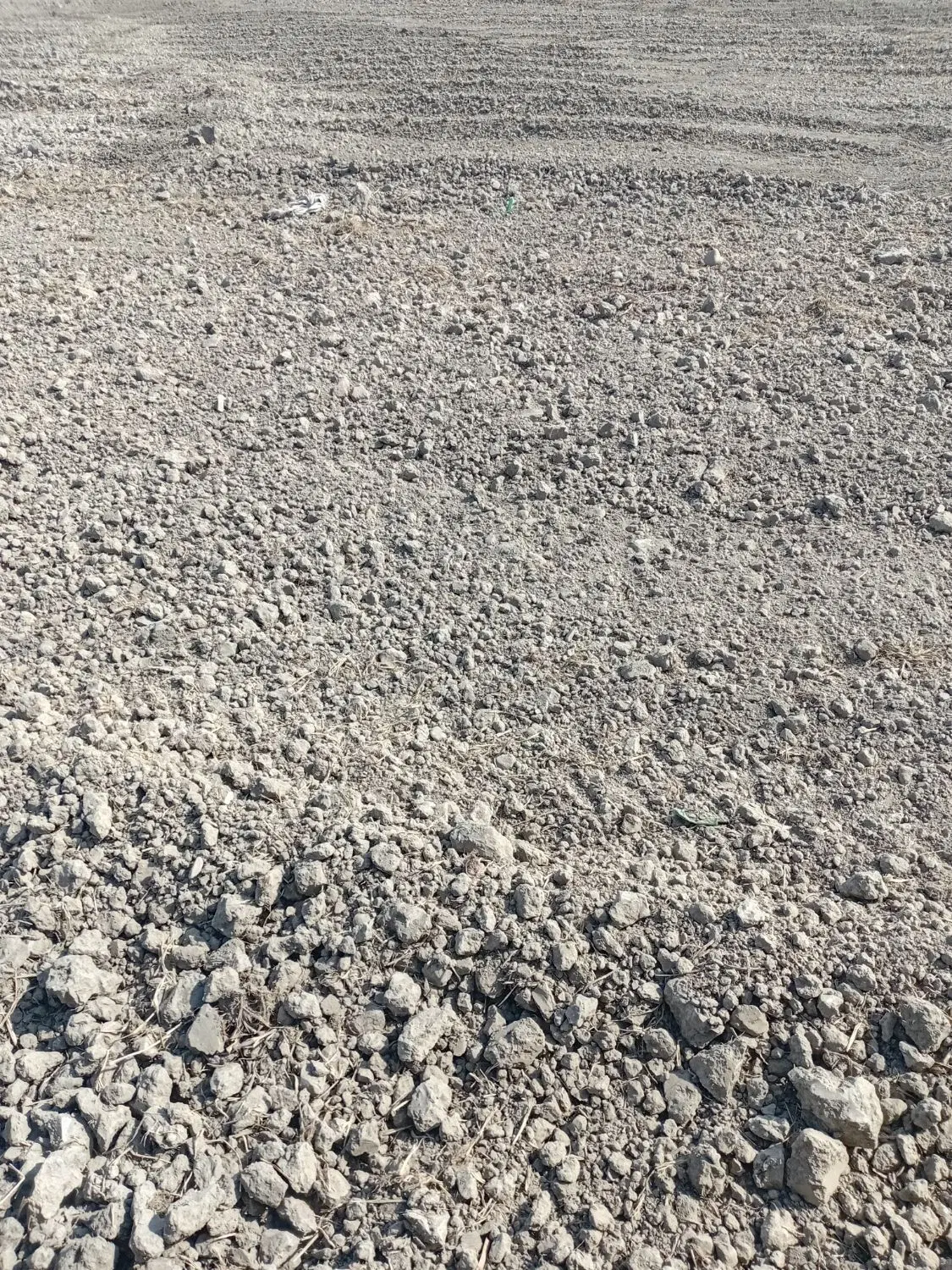 زمین کشاورزی
