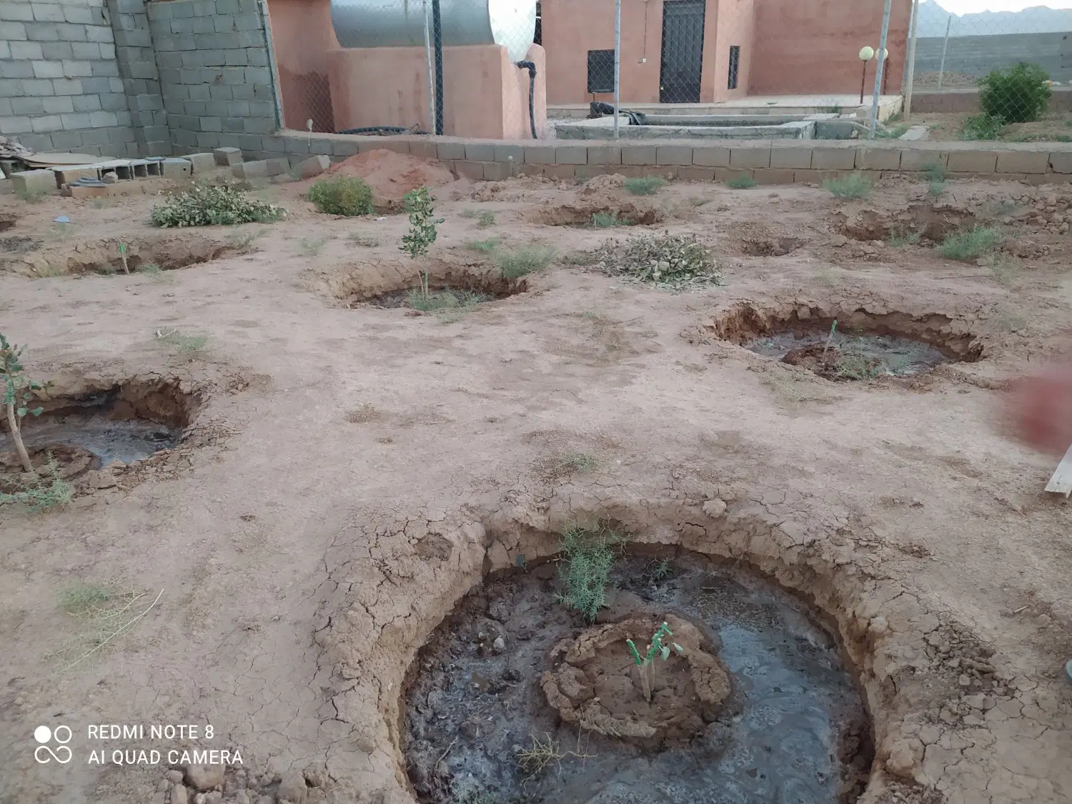 باغ