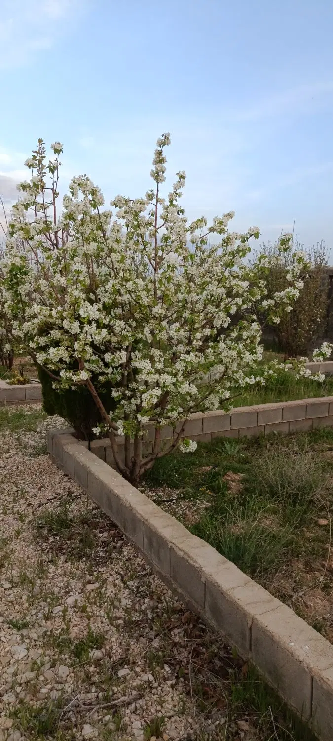 فروش باغ شهری