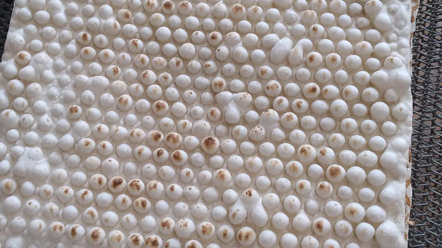 اجاره نانوایی لواشی