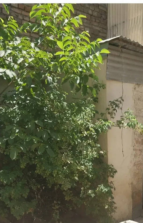 خانه قدیمی دوطبقه