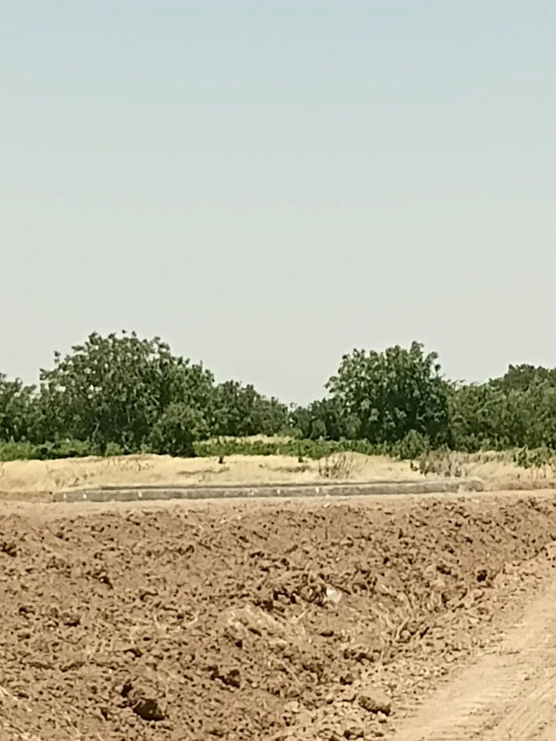 زمین ۳۵۰ متری