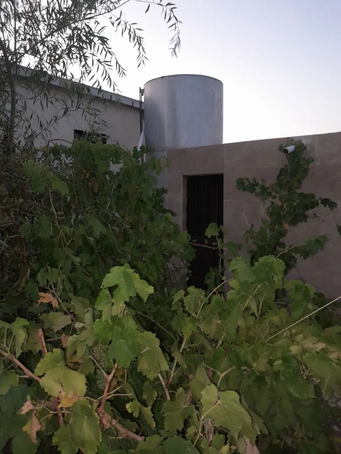 باغ ویلا