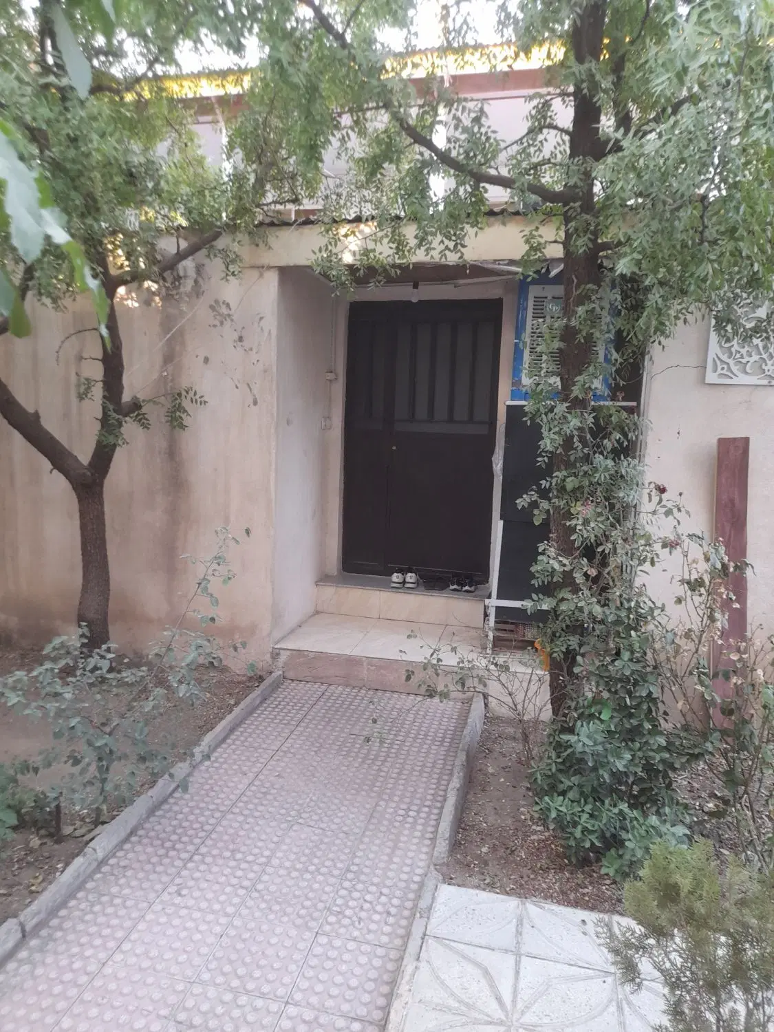 واحد ۵۰ متری ویلایی
